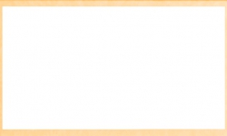 #15 matboard-custom-velvet-orange-774